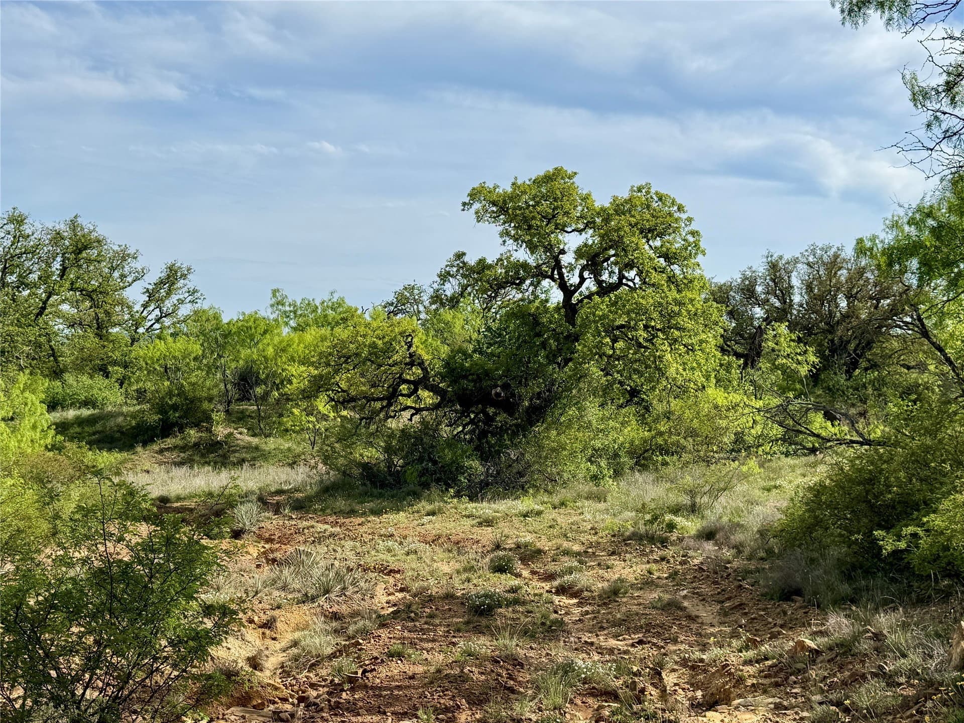 220.96 acres in Brown County - photo 36