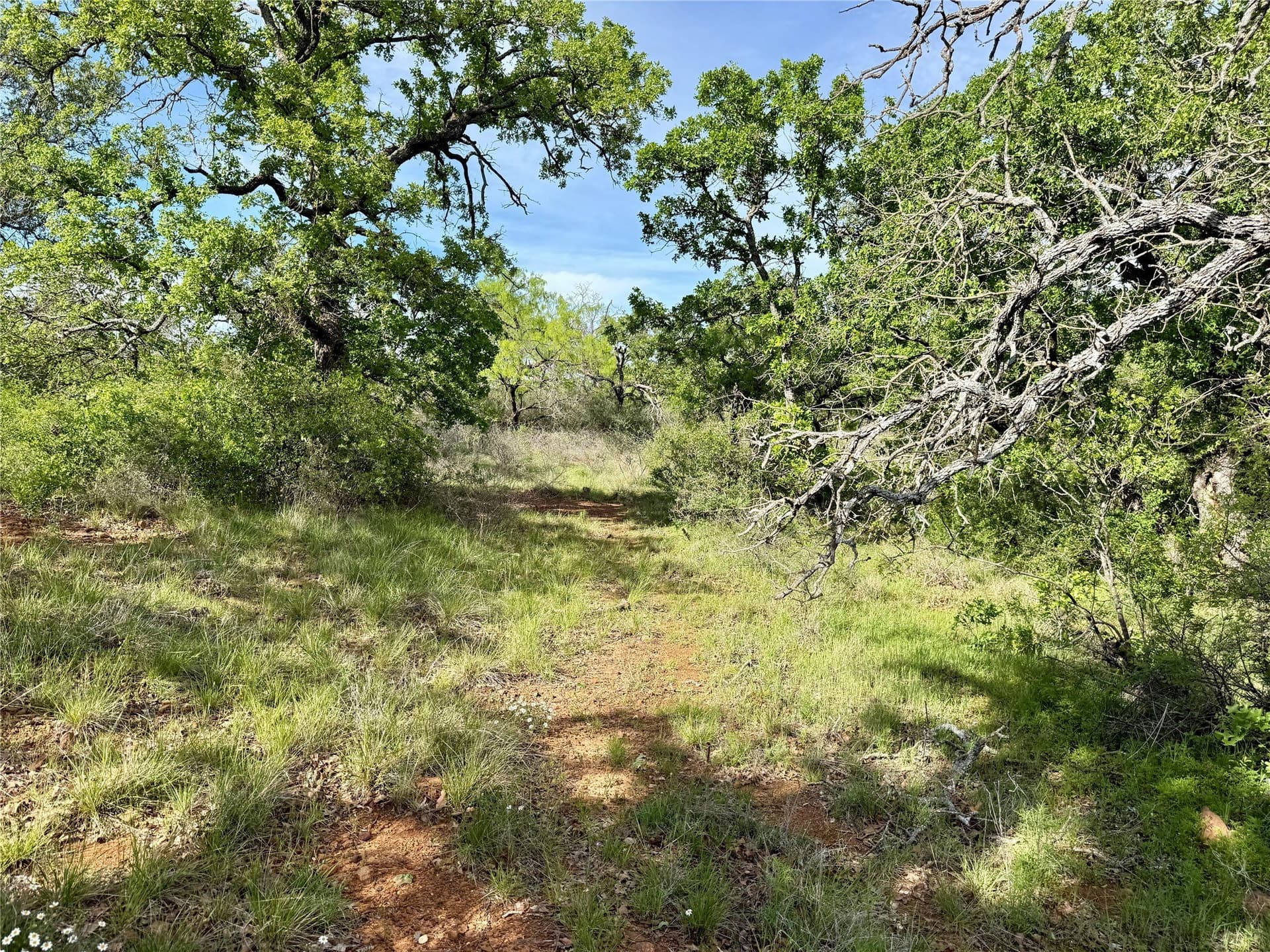 220.96 acres in Brown County - photo 32