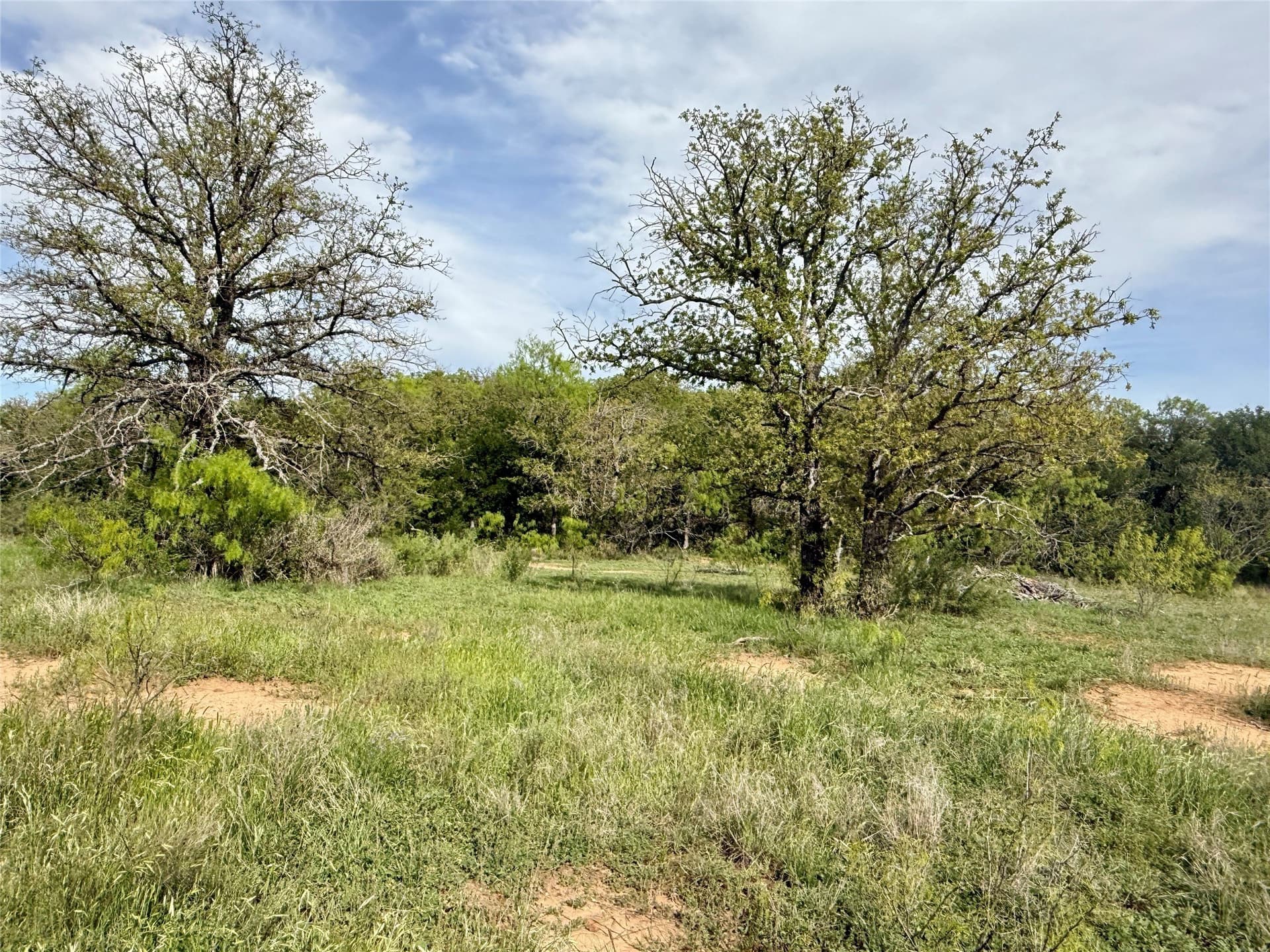 220.96 acres in Brown County - photo 21