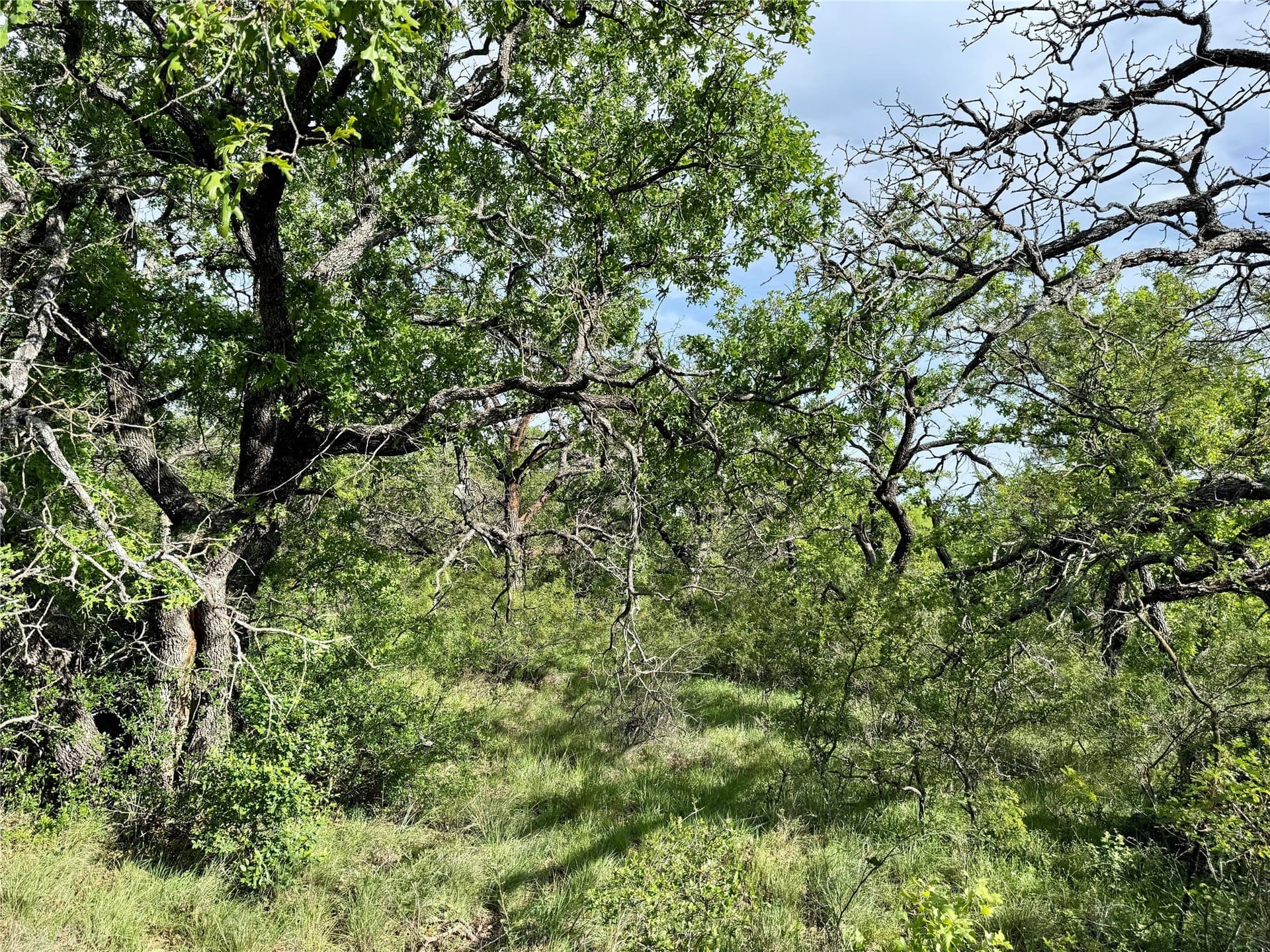 220.96 acres in Brown County - photo 33