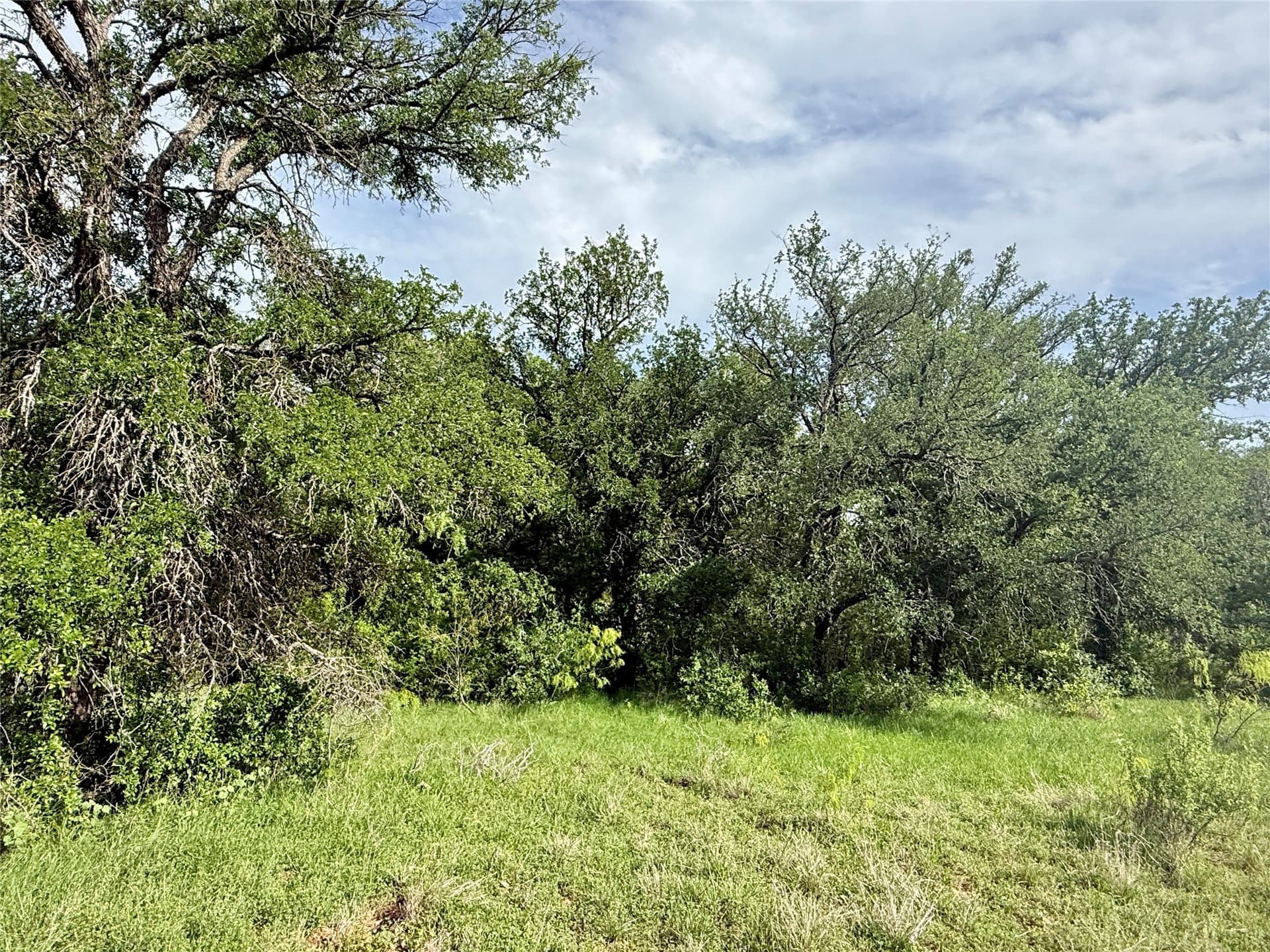 220.96 acres in Brown County - photo 8