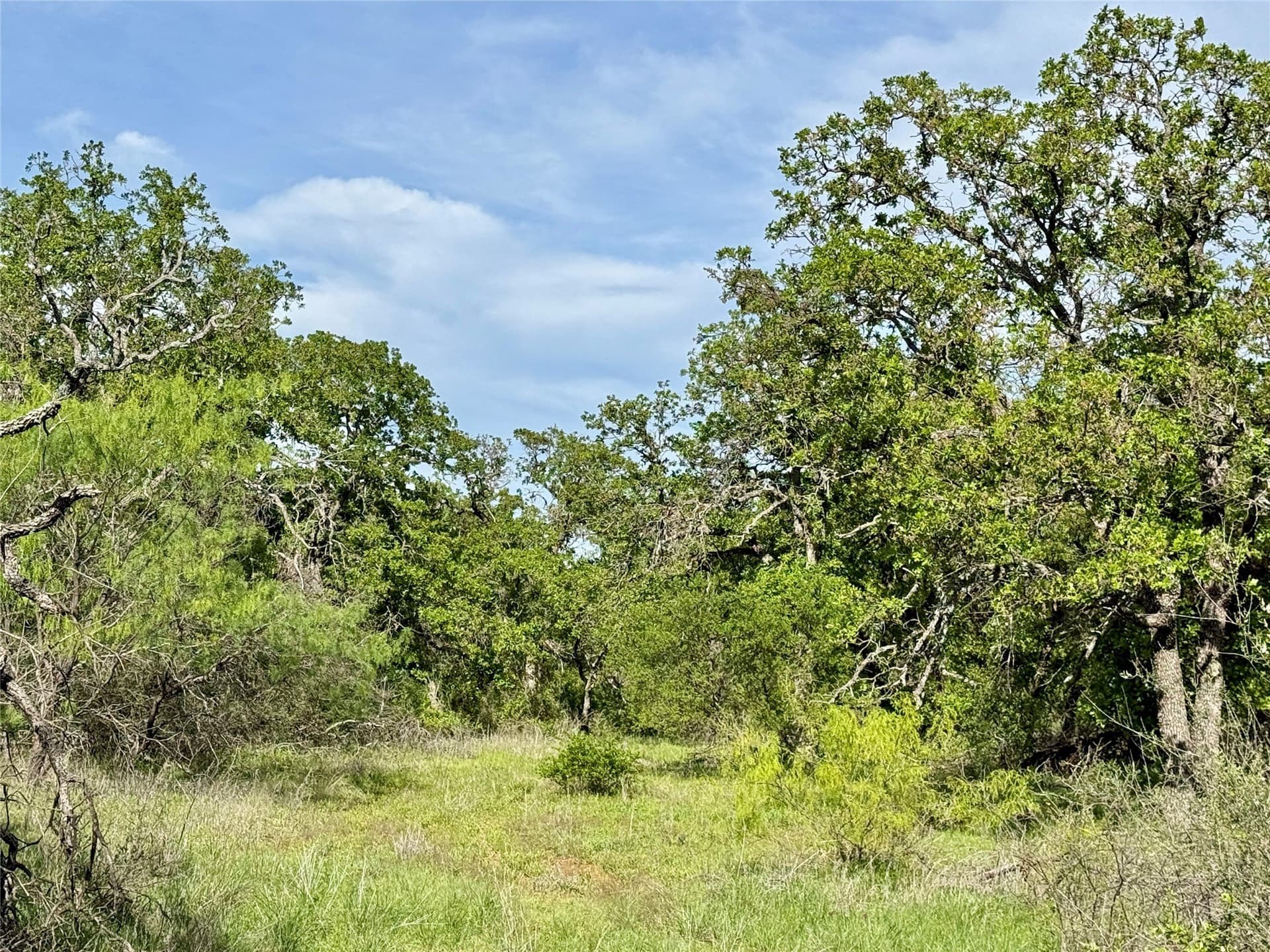 220.96 acres in Brown County - photo 34