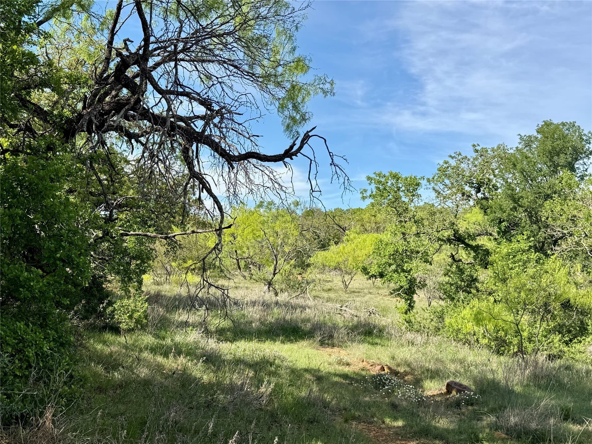 220.96 acres in Brown County - photo 39