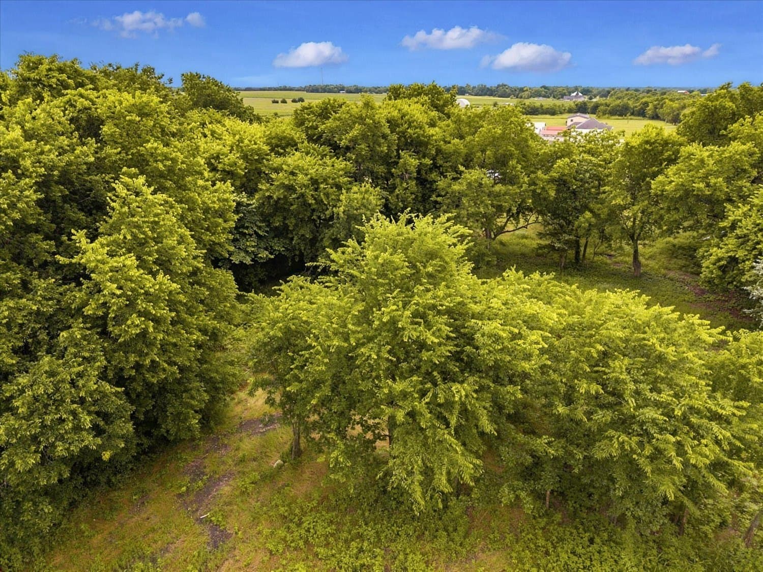 1 acres in Hunt County gallery image 4