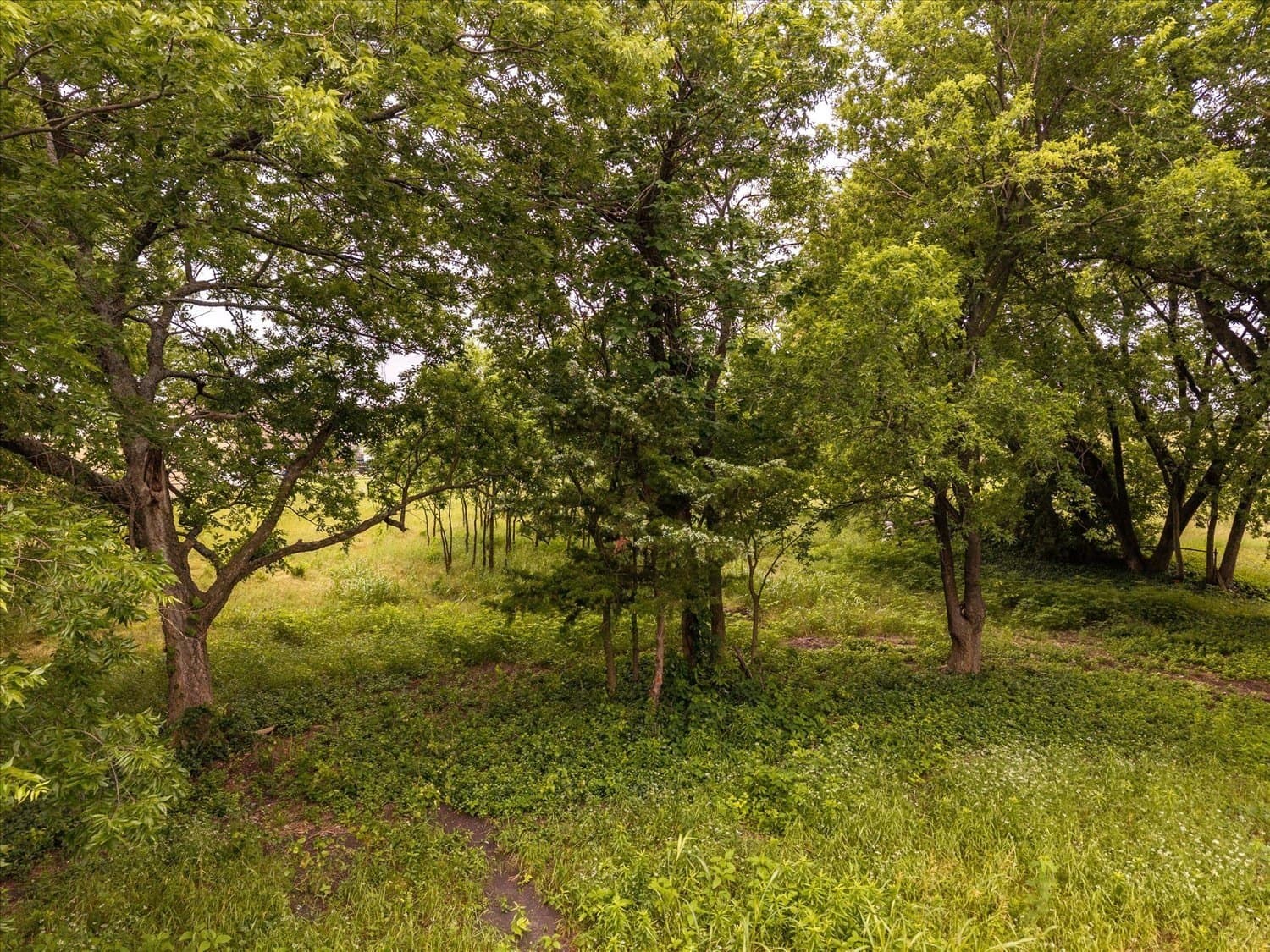 1 acres in Hunt County gallery image 2