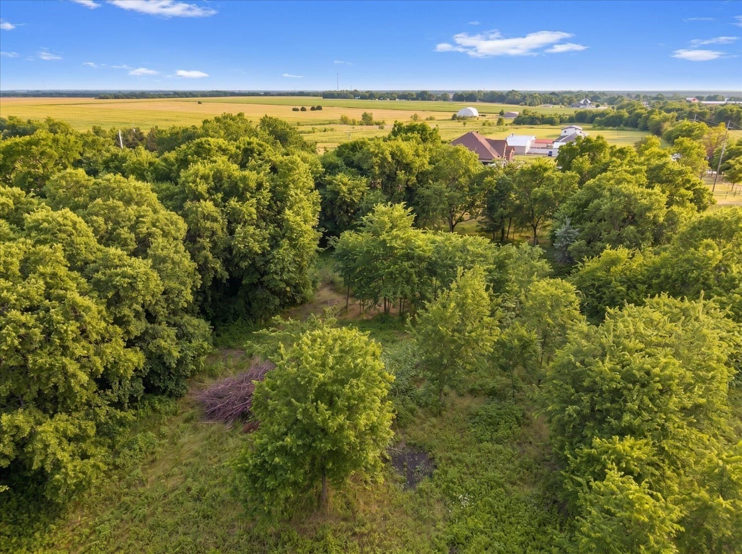 1 acres in Hunt County - photo 7