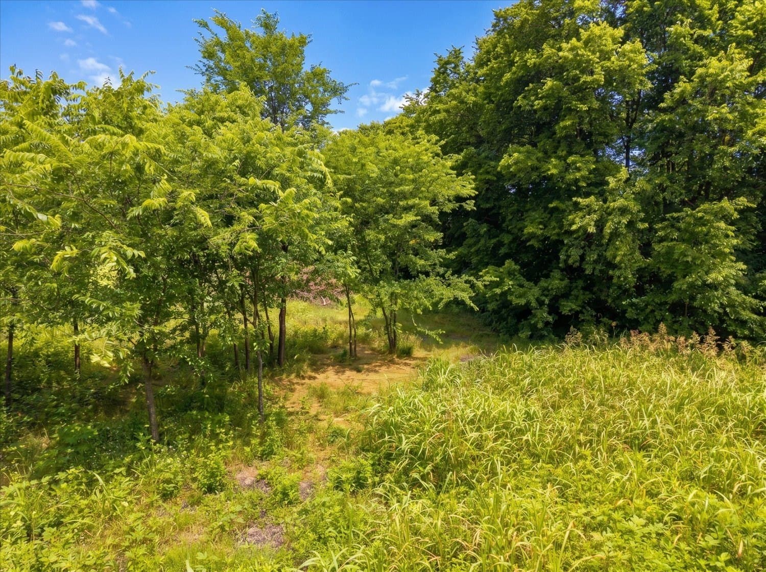 1 acres in Hunt County - photo 8