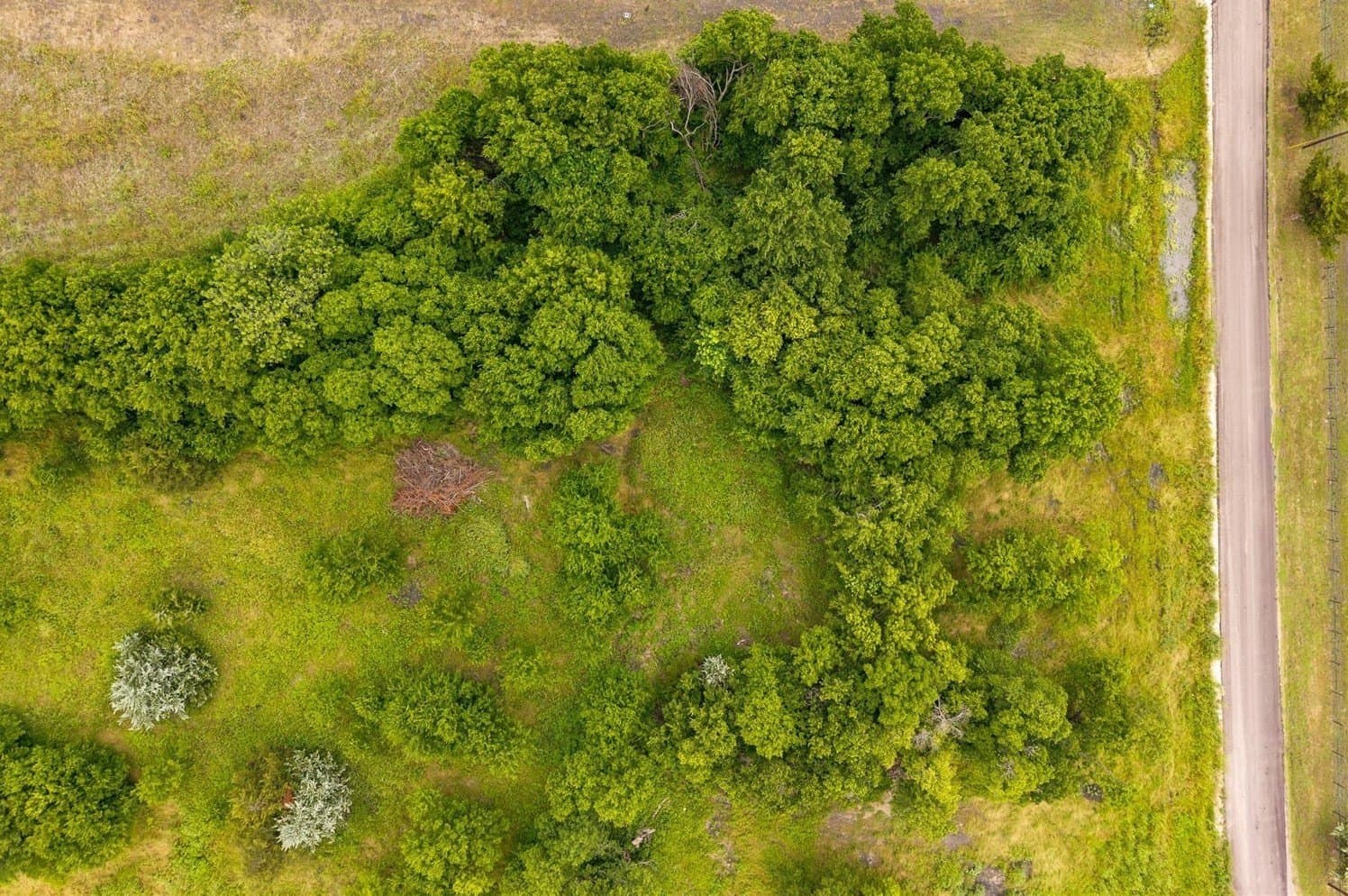 1 acres in Hunt County - photo 13