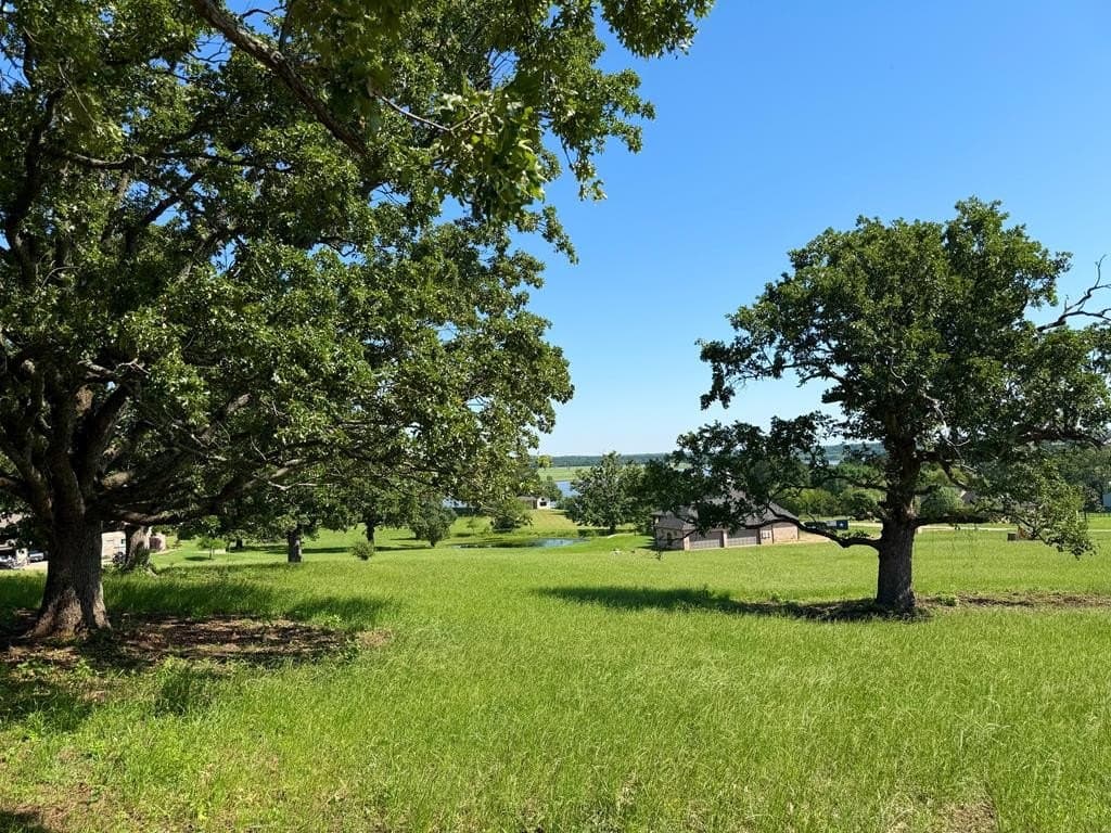 1 acres in Henderson County gallery image 4