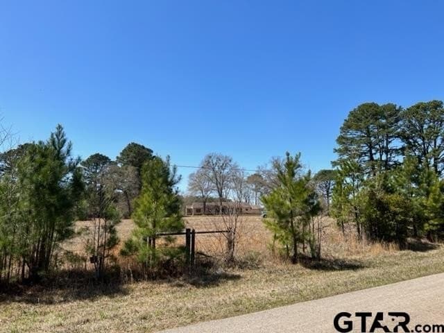 405 acres in Gregg County - photo 6