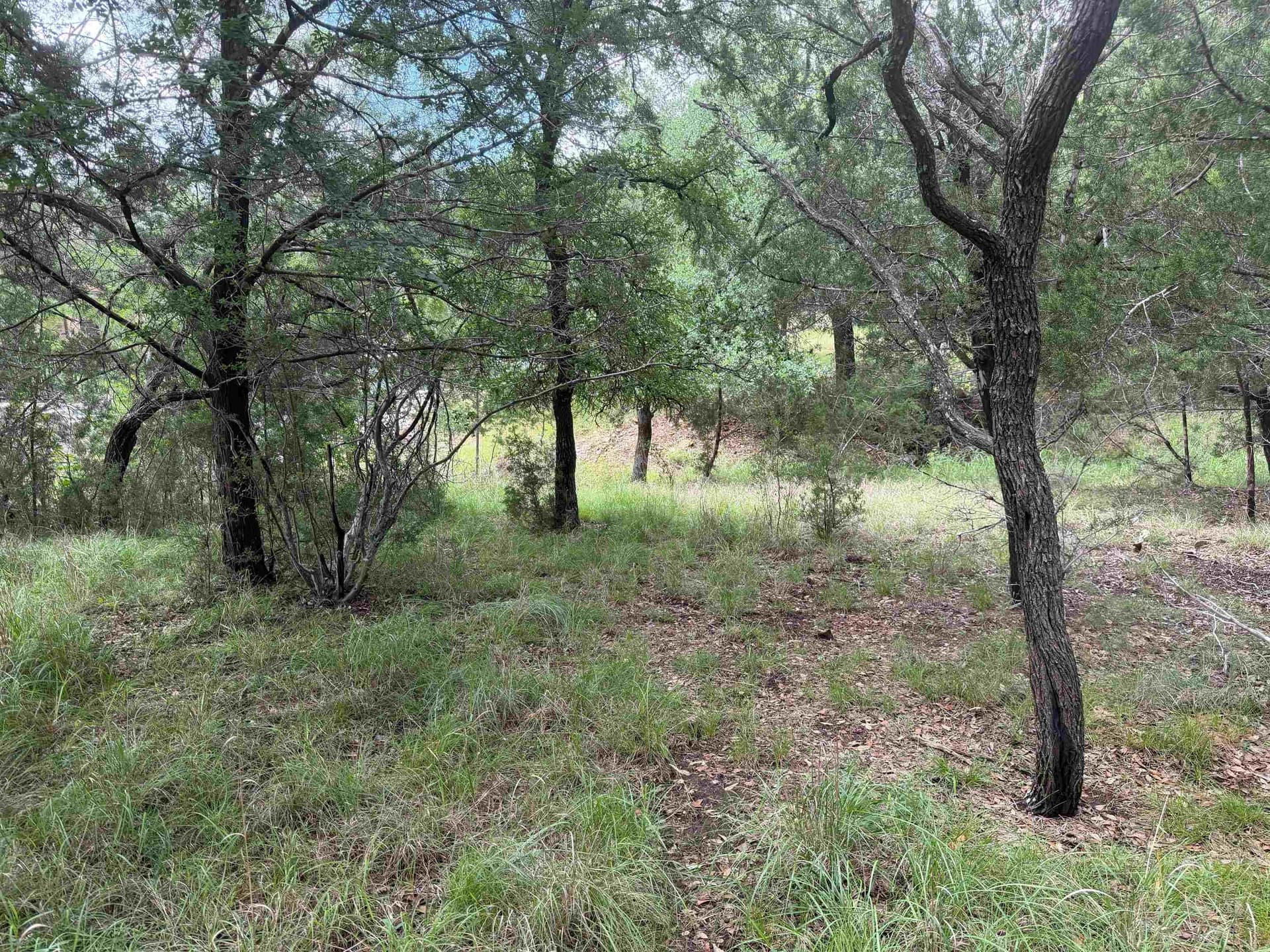 0.3 acres in Llano County - photo 17