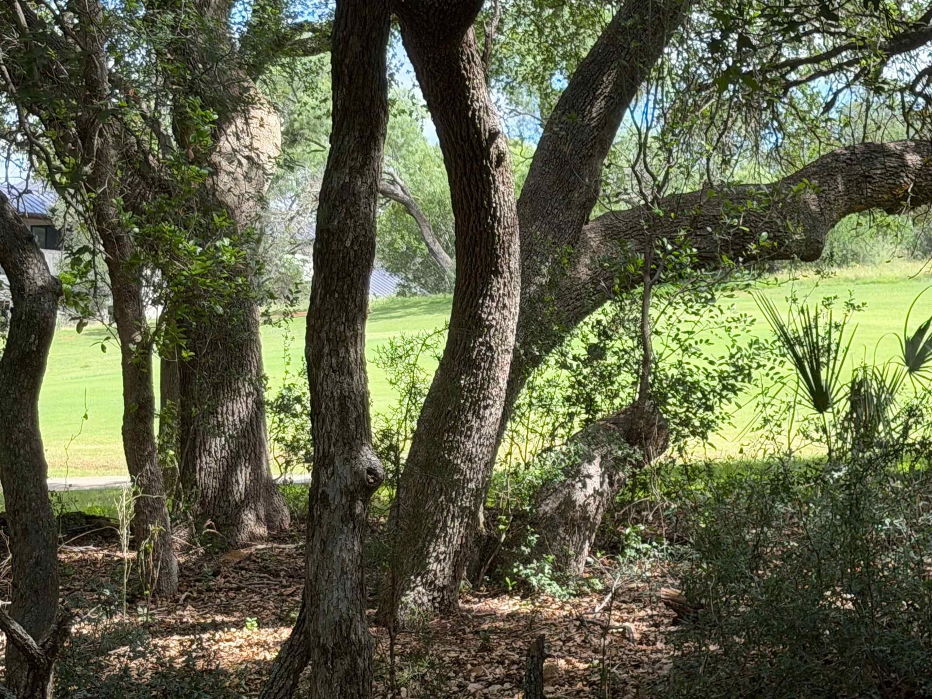 0.3 acres in Llano County - photo 23