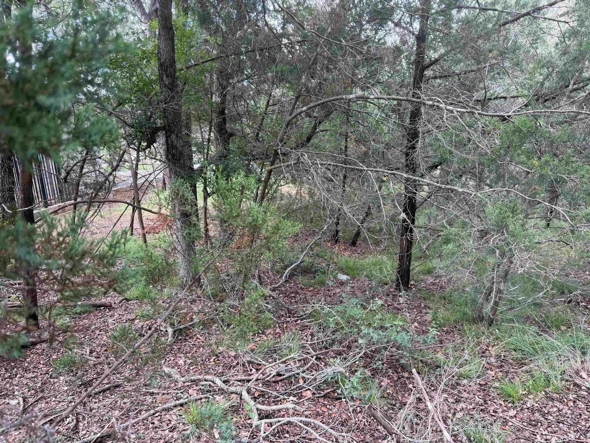 0.3 acres in Llano County - photo 14