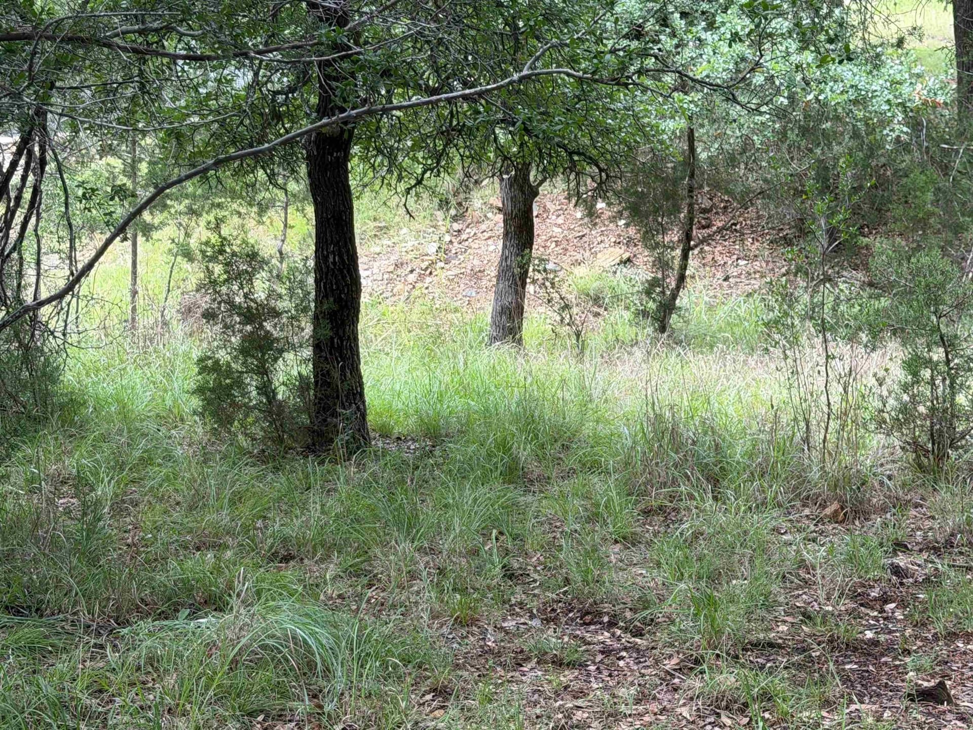 0.3 acres in Llano County - photo 19