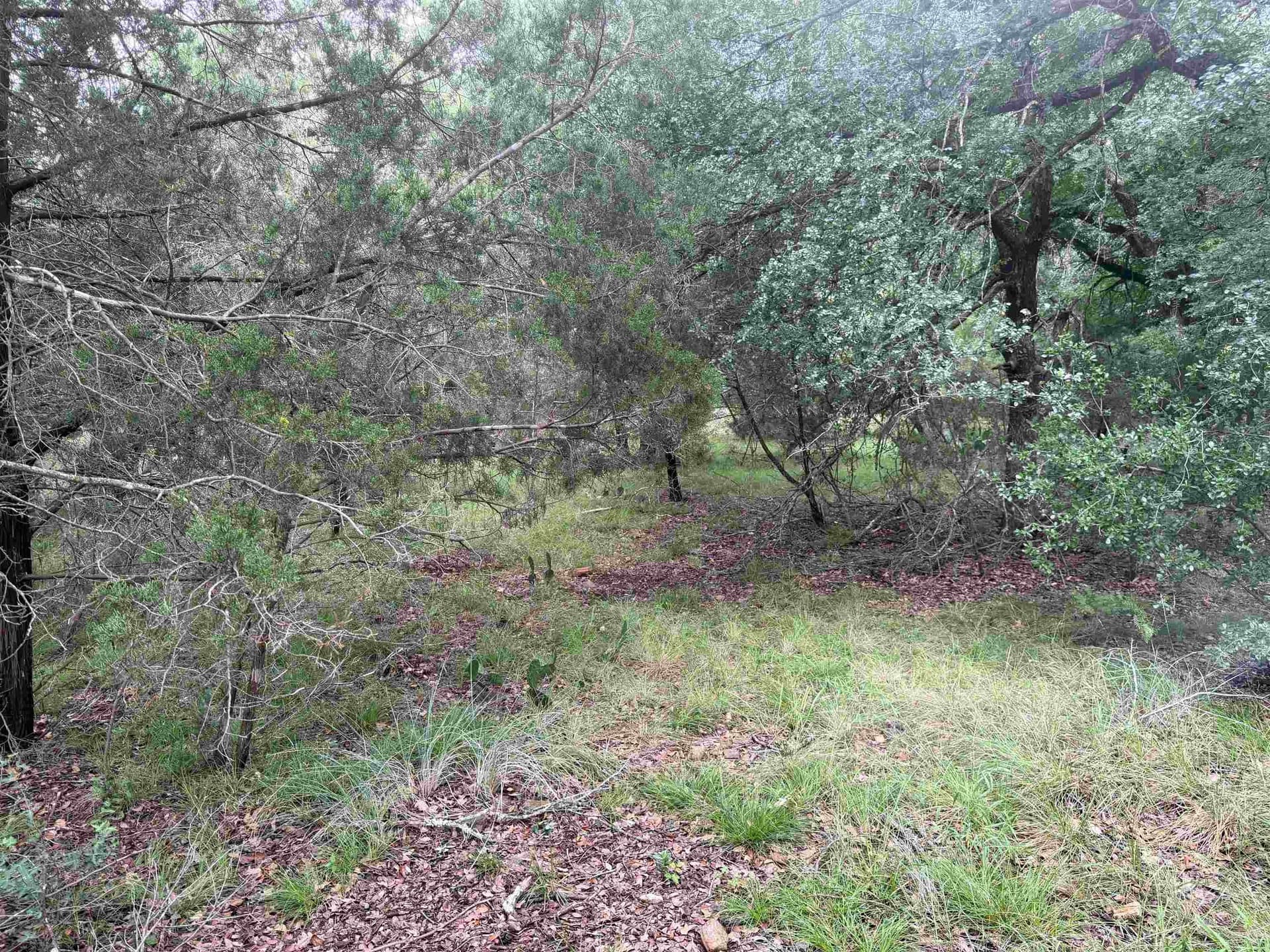 0.3 acres in Llano County - photo 15