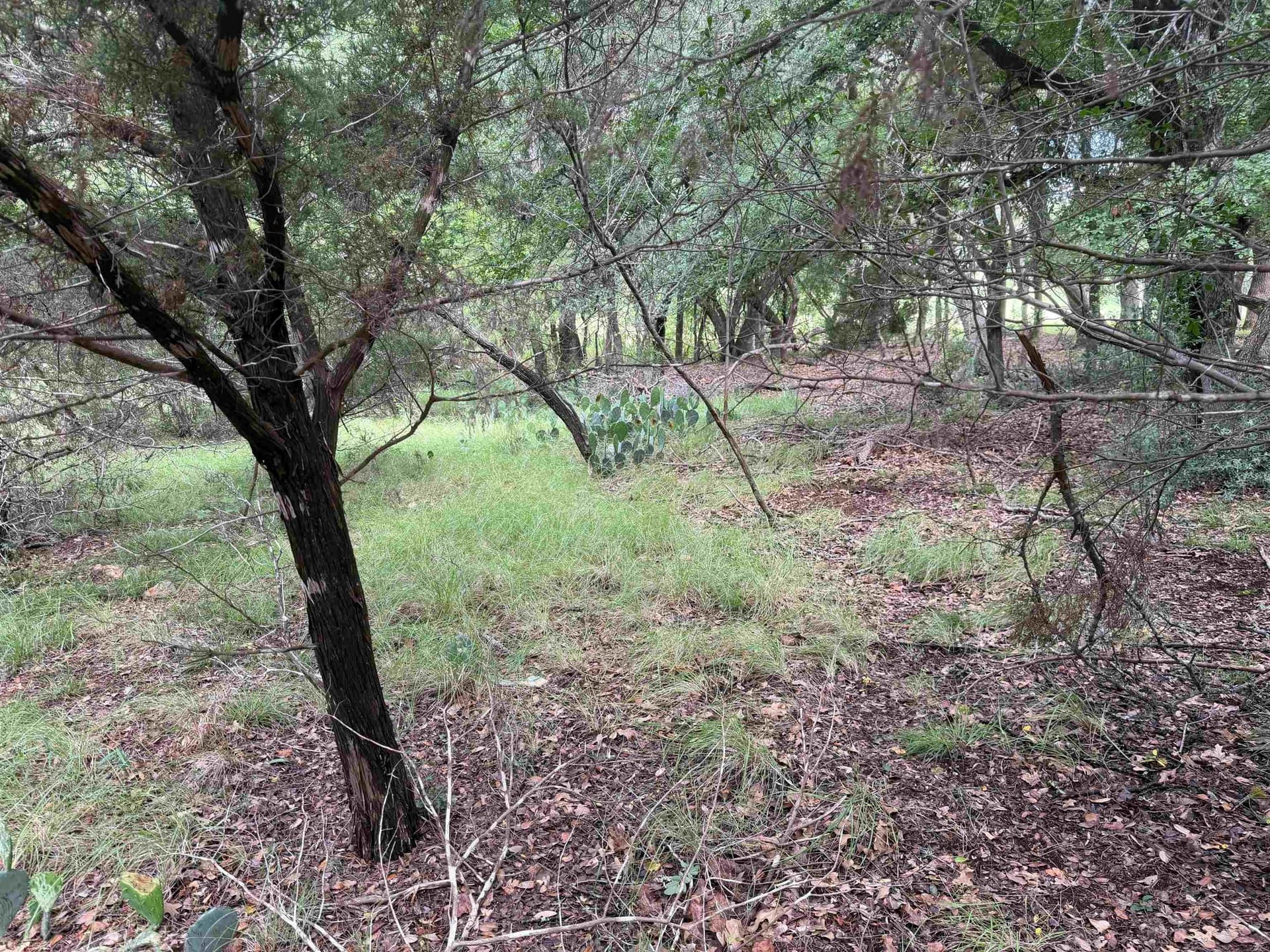 0.3 acres in Llano County - photo 16