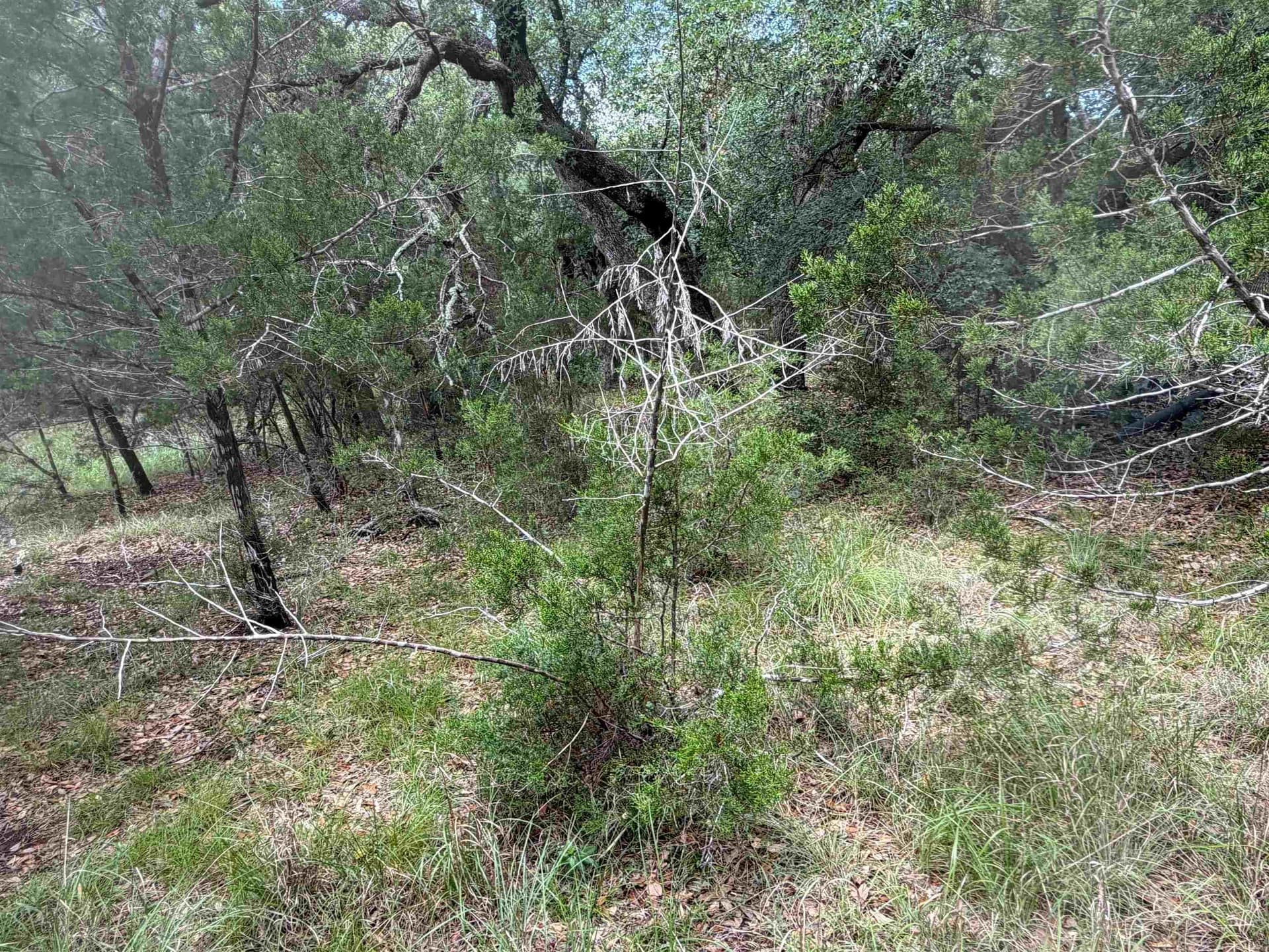 0.3 acres in Llano County - photo 20
