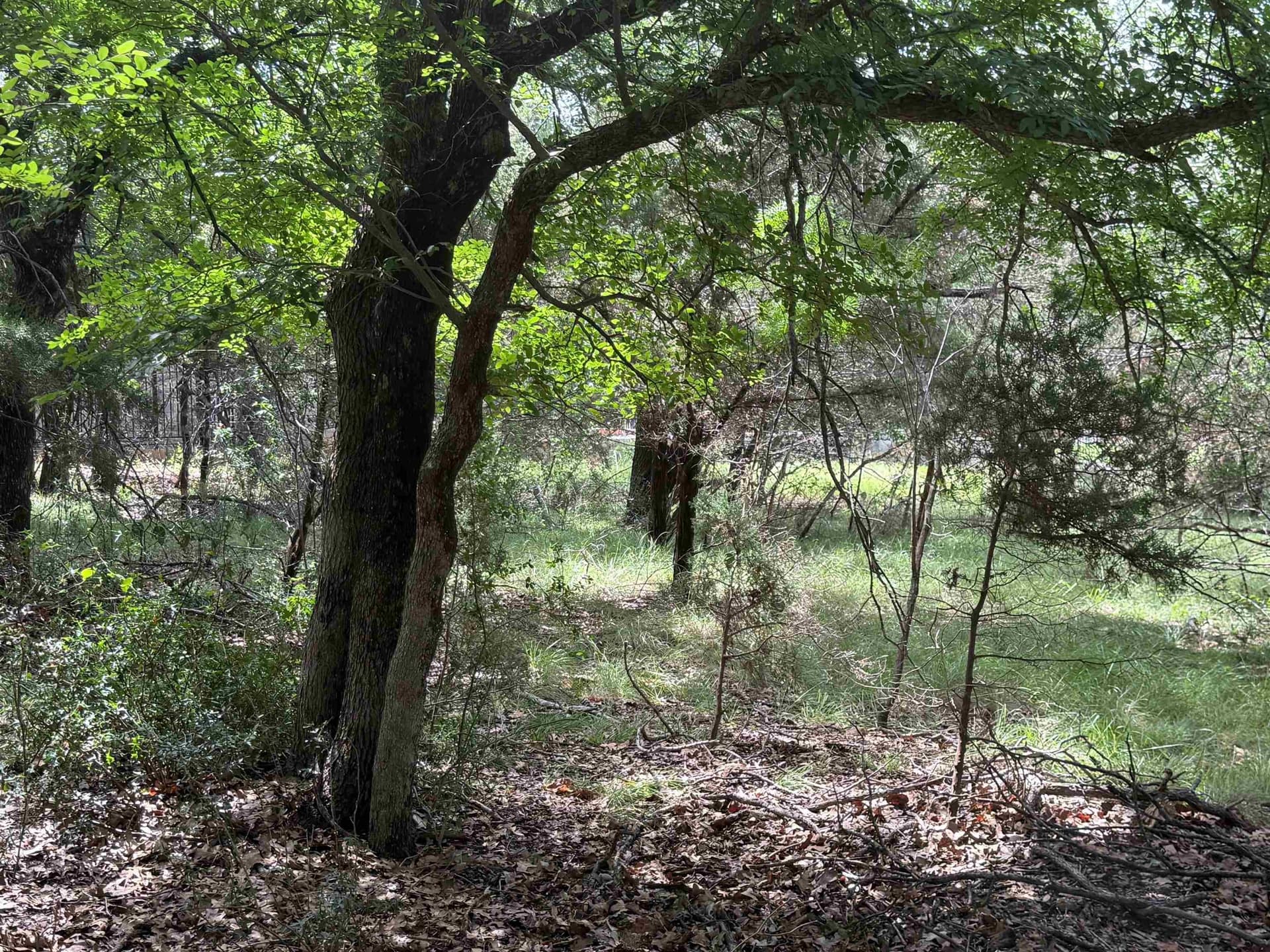 0.3 acres in Llano County - photo 27