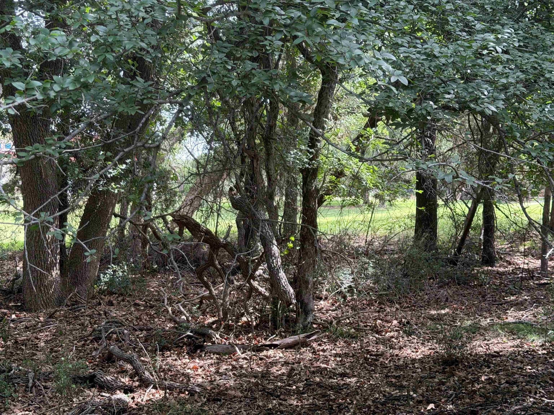 0.3 acres in Llano County - photo 22
