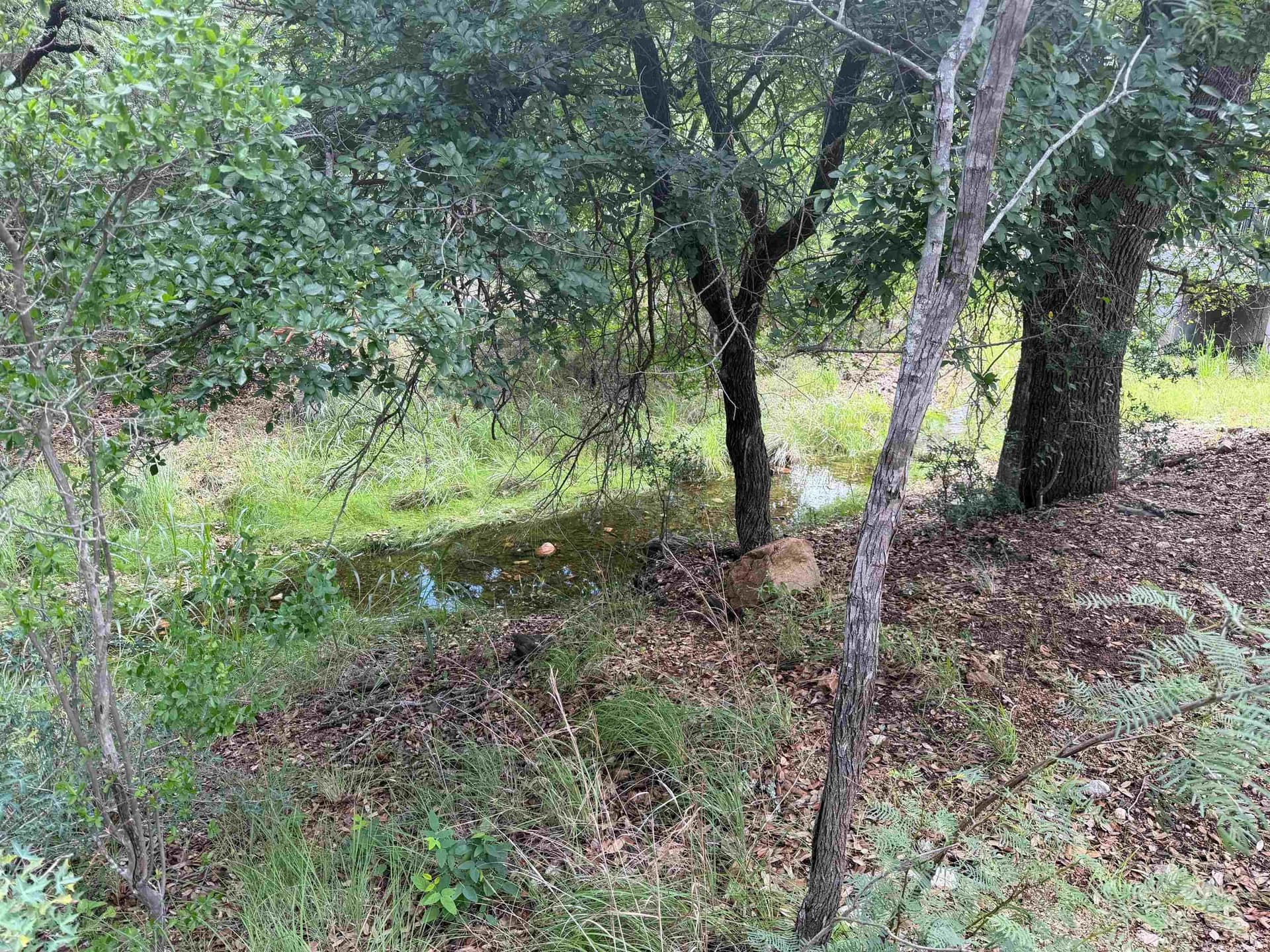 0.3 acres in Llano County gallery image 3