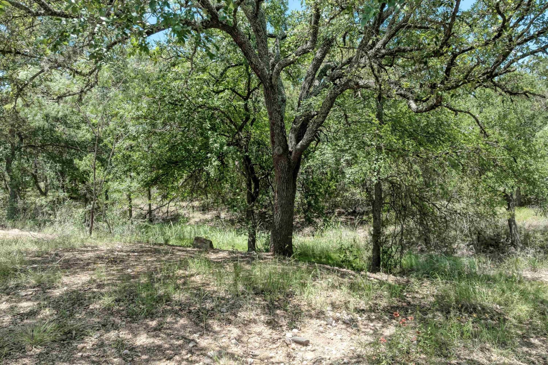 0.3 acres in Llano County - photo 32