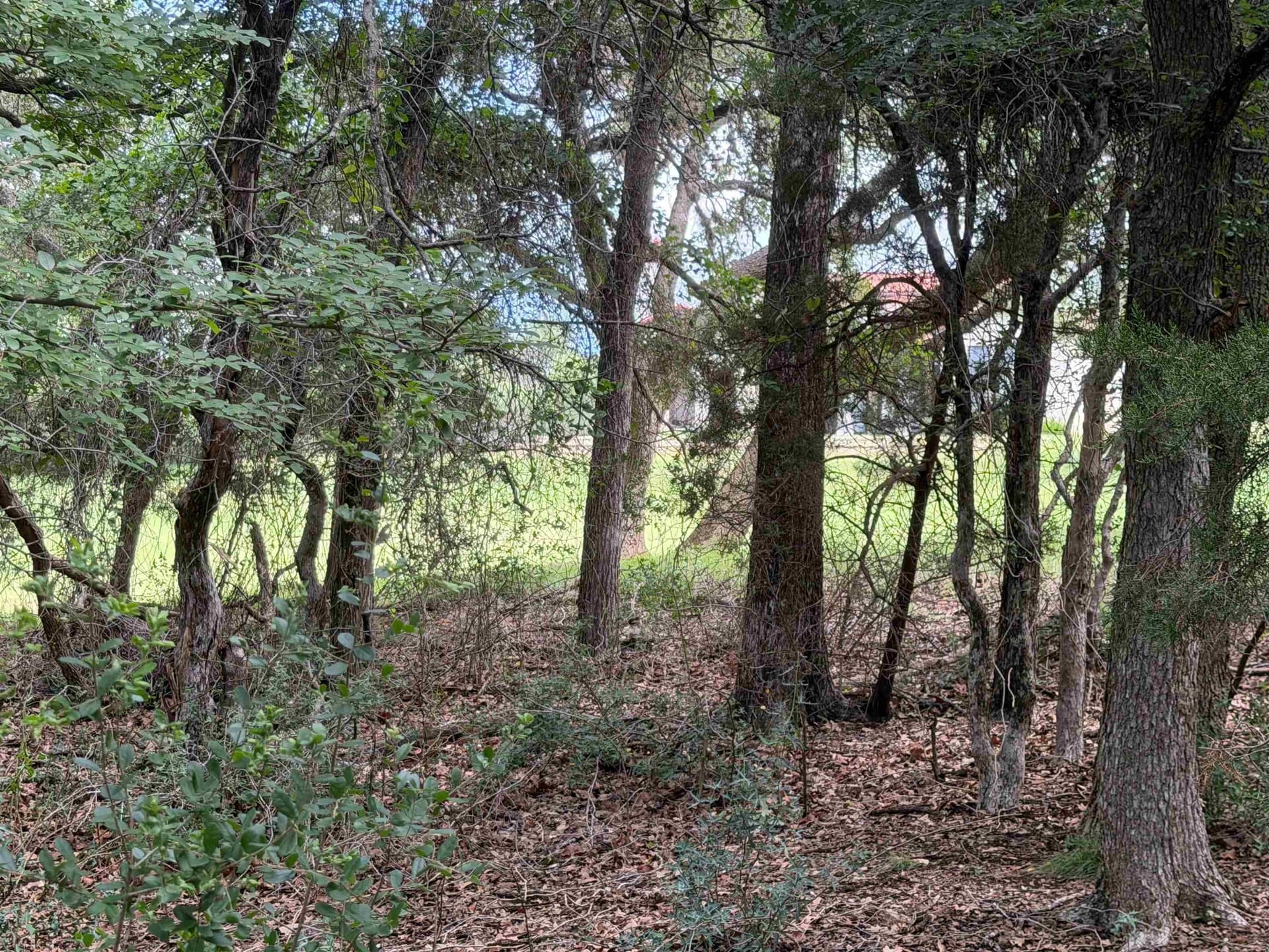 0.3 acres in Llano County gallery image 2