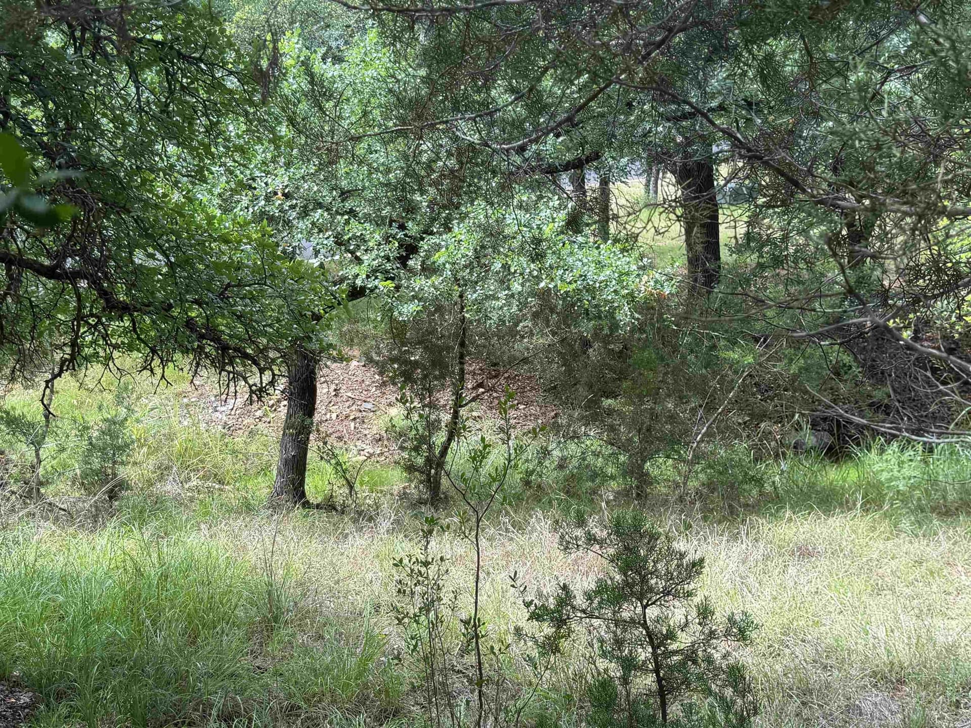 0.3 acres in Llano County - photo 21