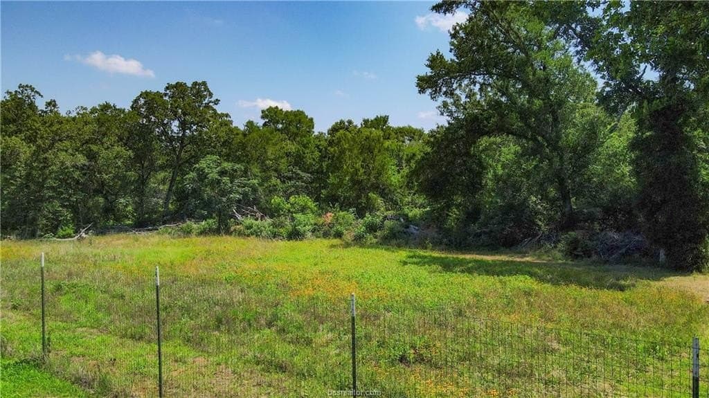 18.25 acres in Burleson County gallery image 4