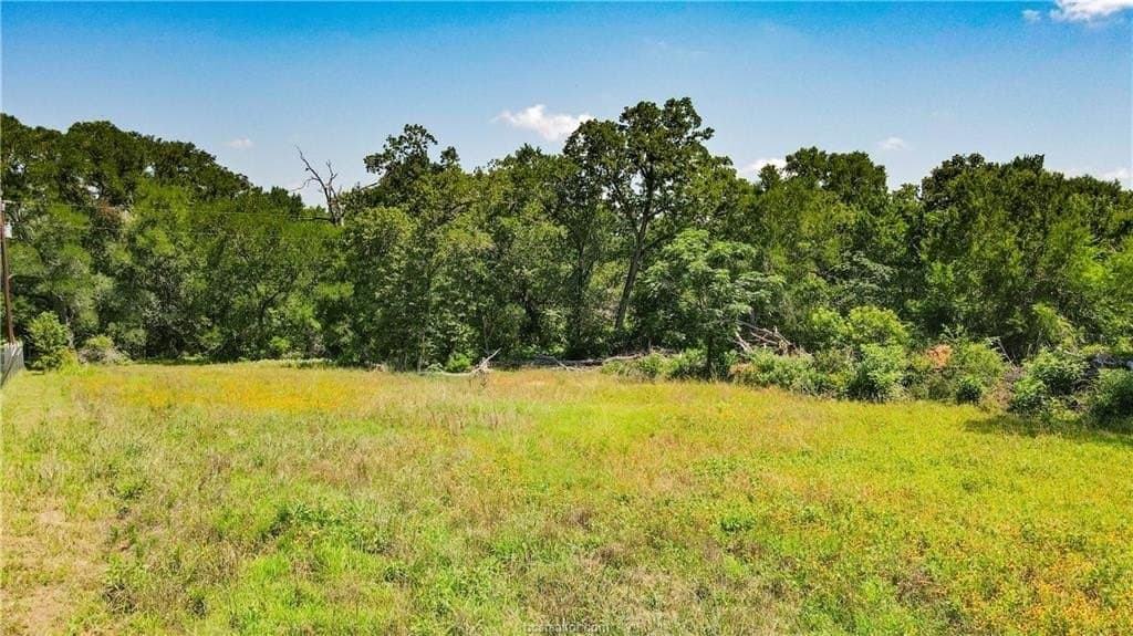 18.25 acres in Burleson County featured view