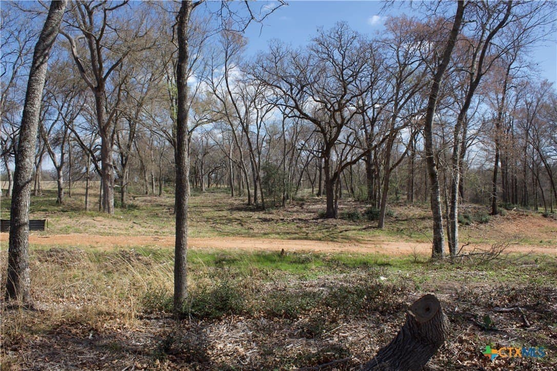 3 acres in Milam County - photo 7