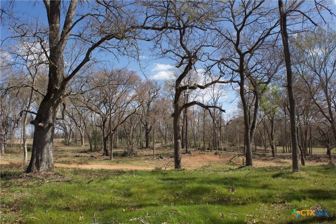 3 acres in Milam County - photo 6