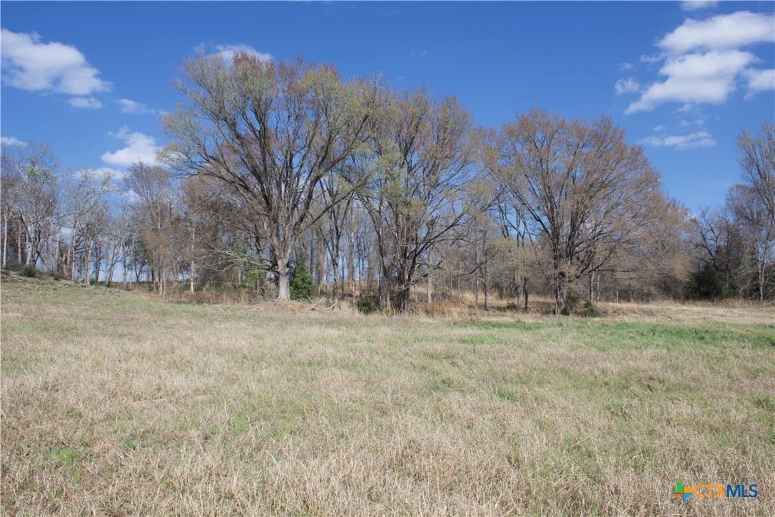 3 acres in Milam County - photo 15