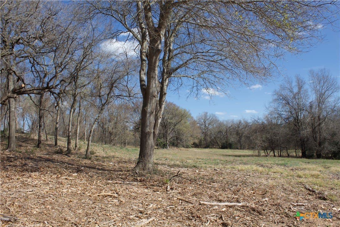 3 acres in Milam County - photo 11
