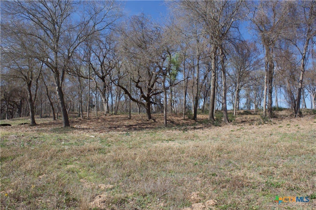 3 acres in Milam County - photo 17