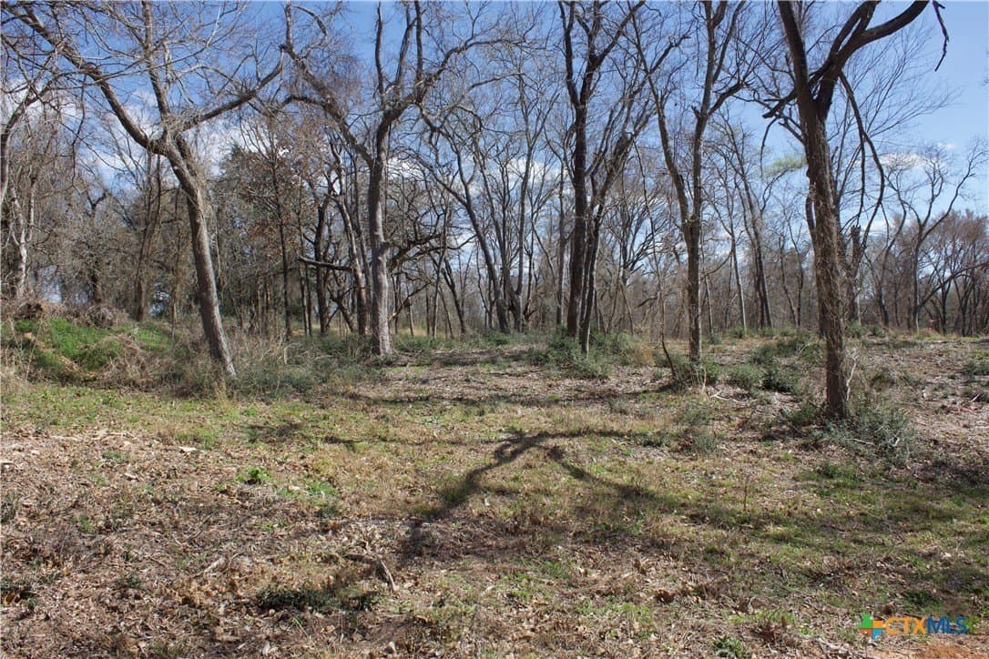 3 acres in Milam County - photo 8