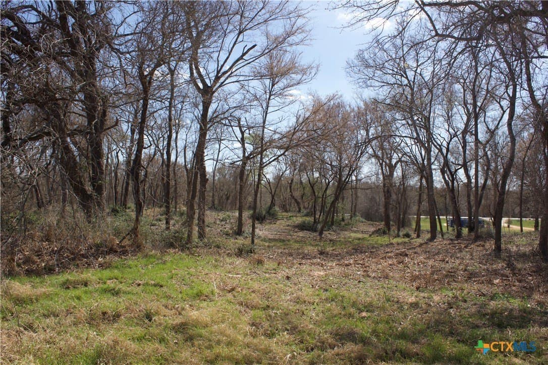 3 acres in Milam County - photo 9