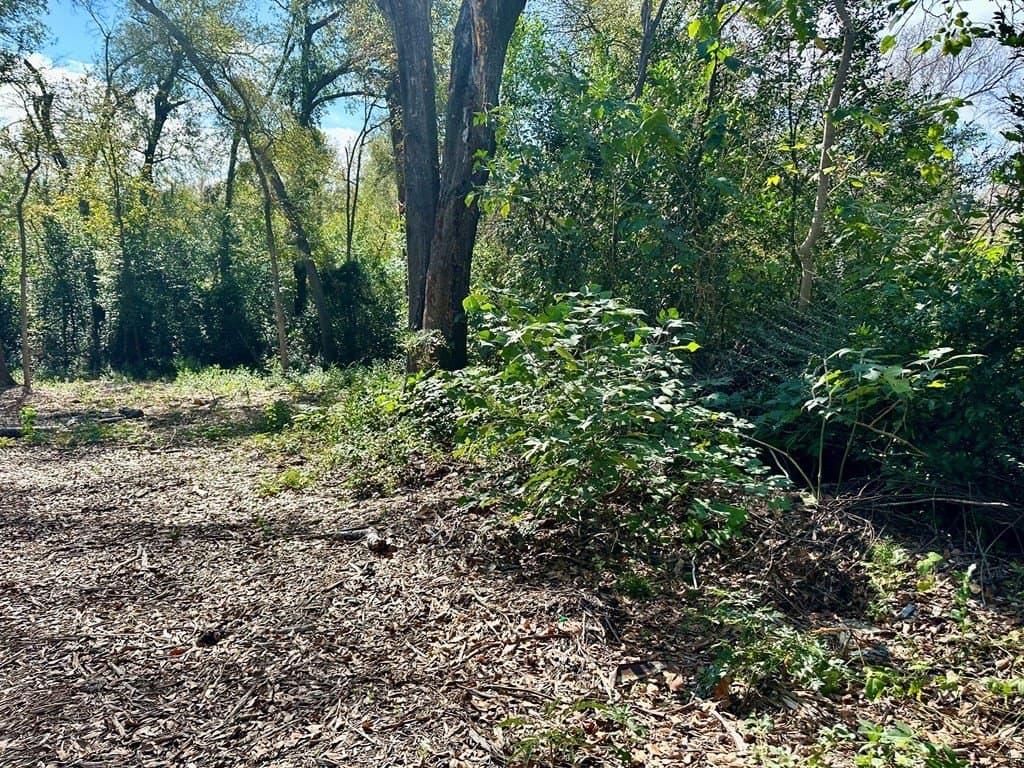 0.97 acres in ANDERSON County gallery image 2