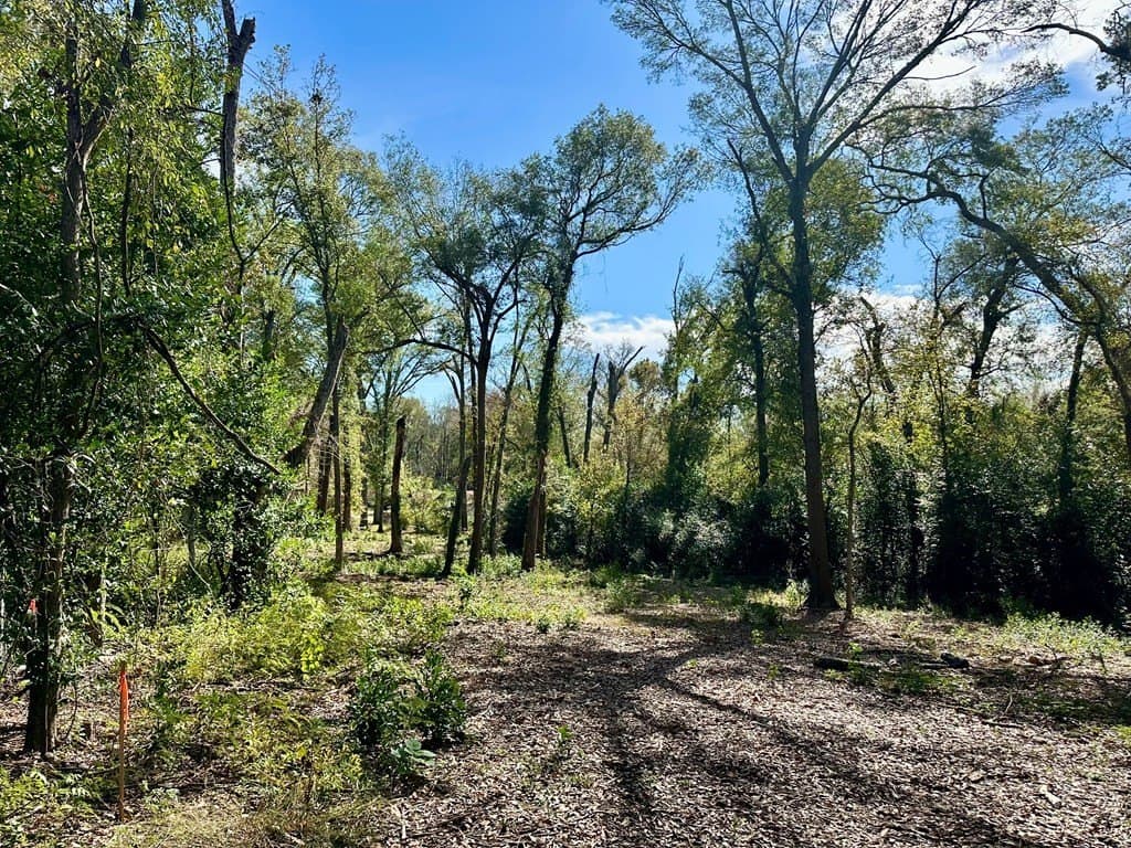 0.97 acres in ANDERSON County gallery image 4