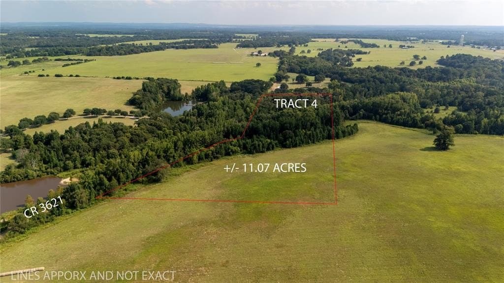11.7 acres in Henderson County gallery image 3