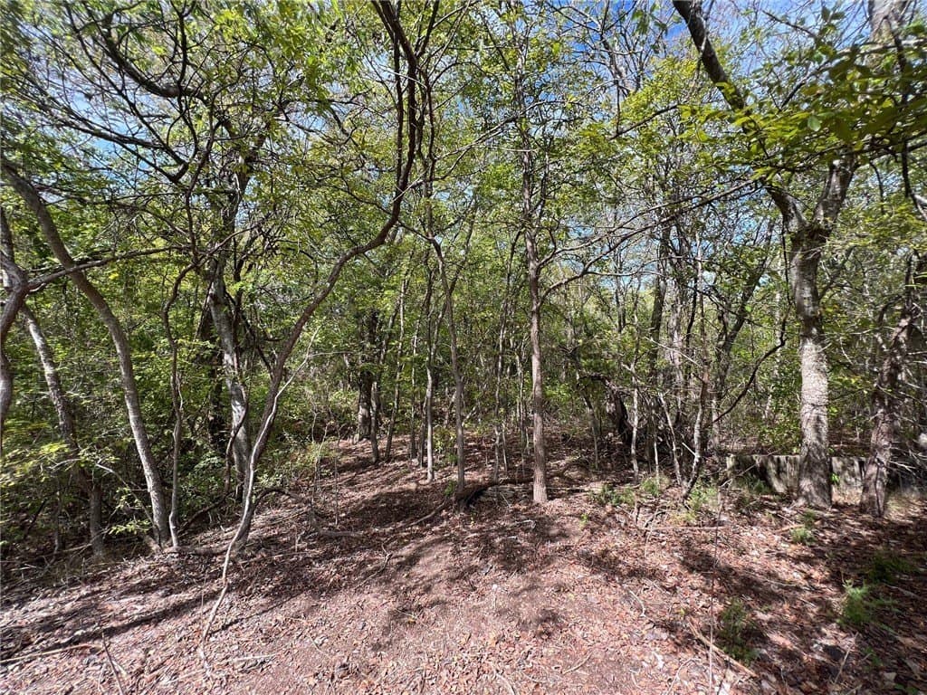 1.02 acres in McLennan County - photo 5