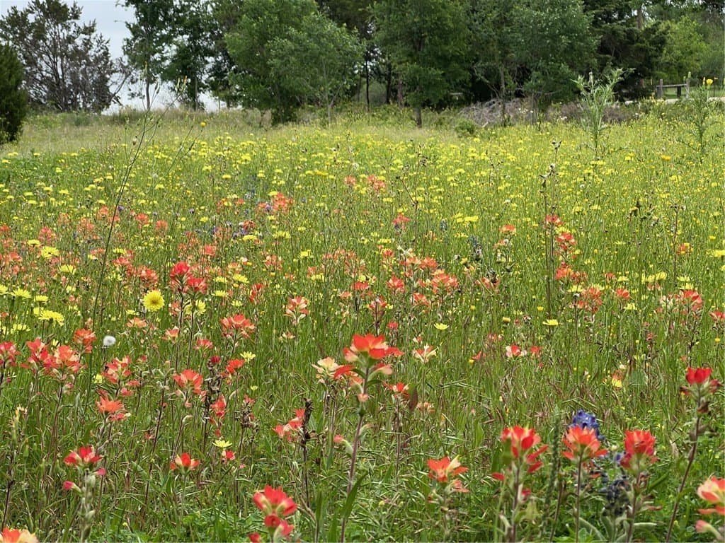1.02 acres in McLennan County - photo 6