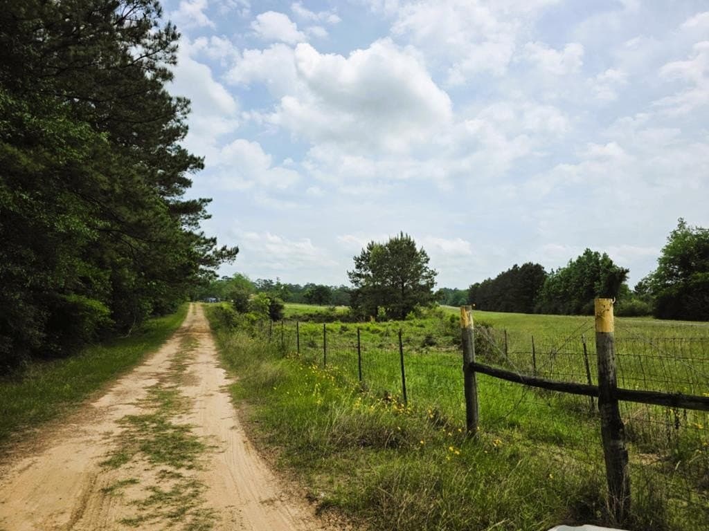 19.94 acres in Texas County - photo 46