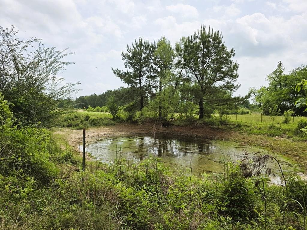 19.94 acres in Texas County - photo 45