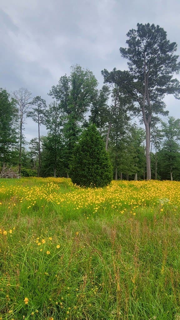 19.94 acres in Texas County - photo 12