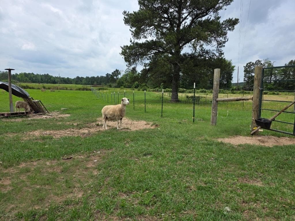 19.94 acres in Texas County - photo 15