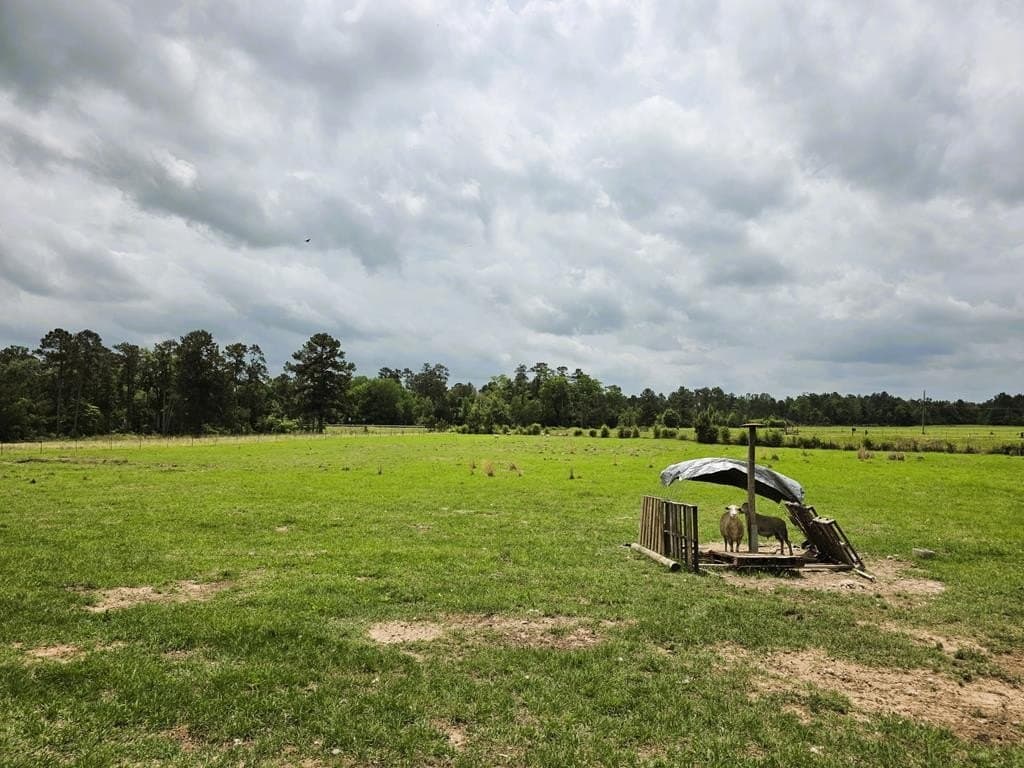 19.94 acres in Texas County - photo 14