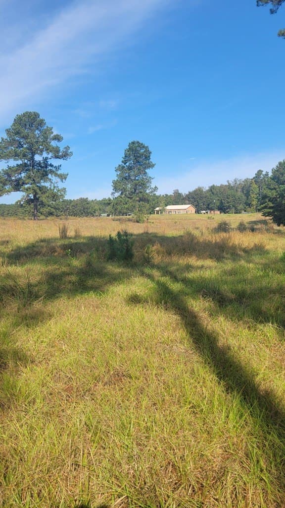 19.94 acres in Texas County - photo 10