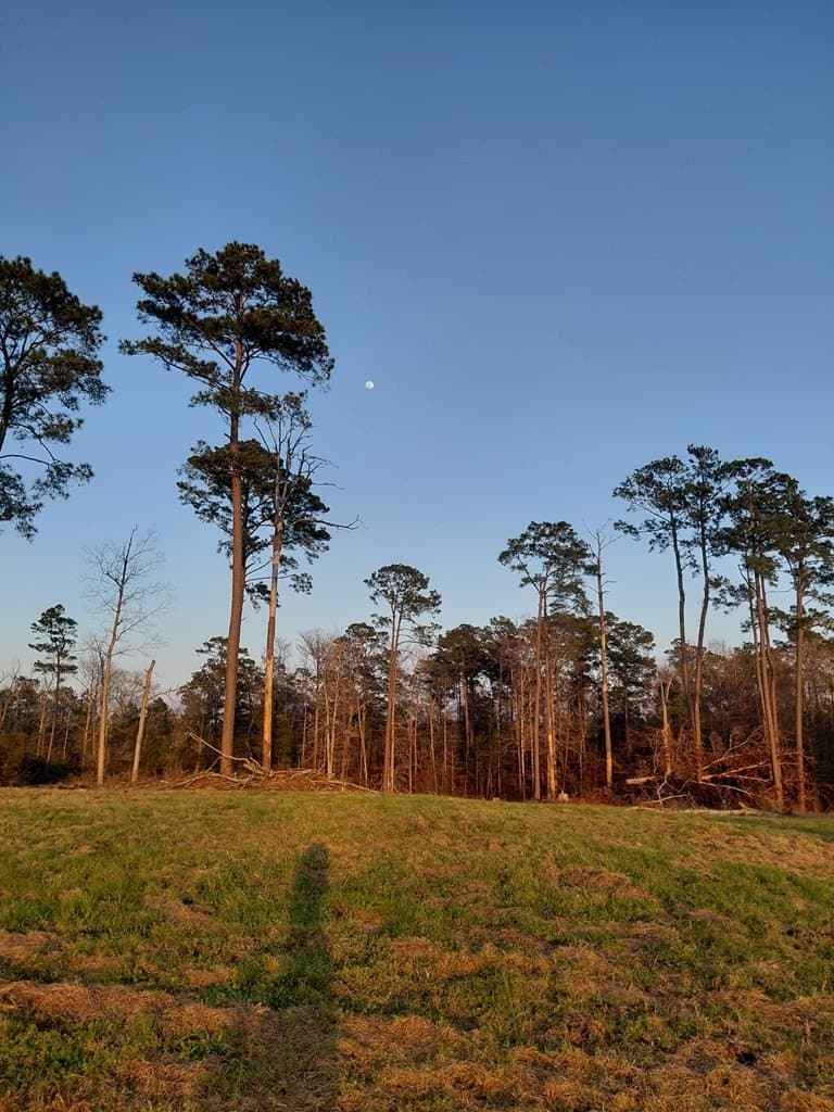 19.94 acres in Texas County - photo 9