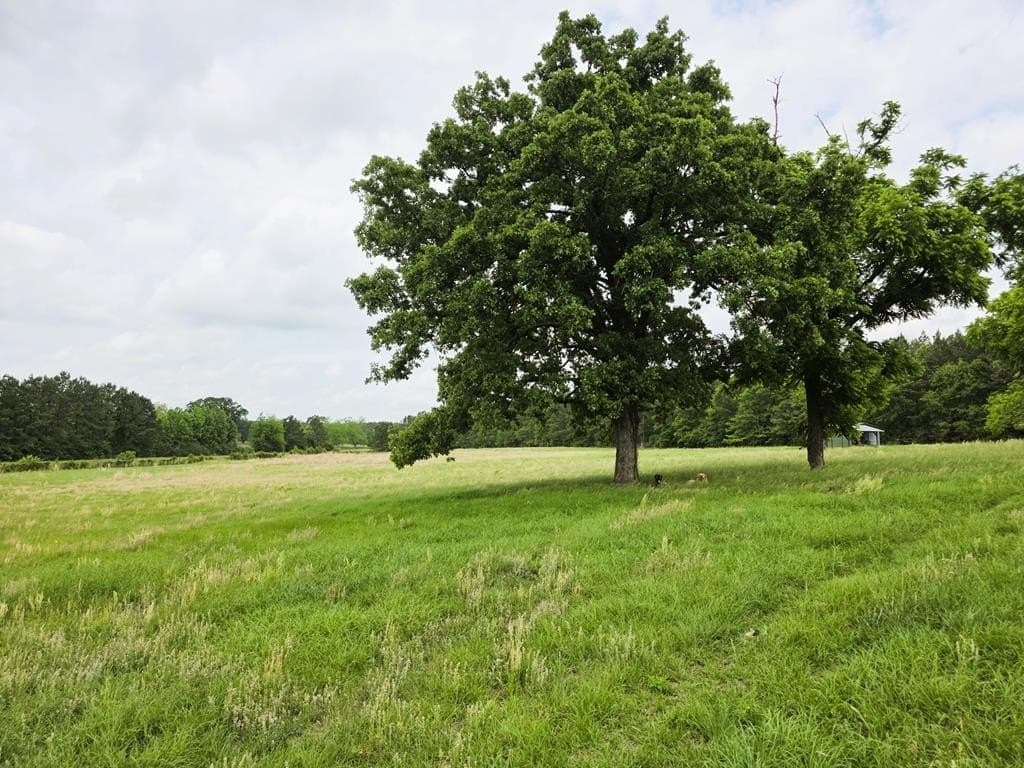 19.94 acres in Texas County - photo 36