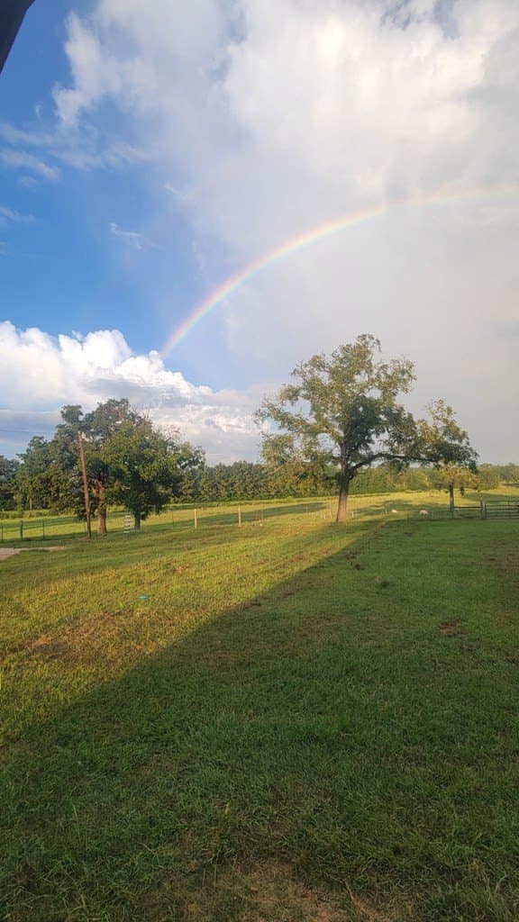 19.94 acres in Texas County - photo 11